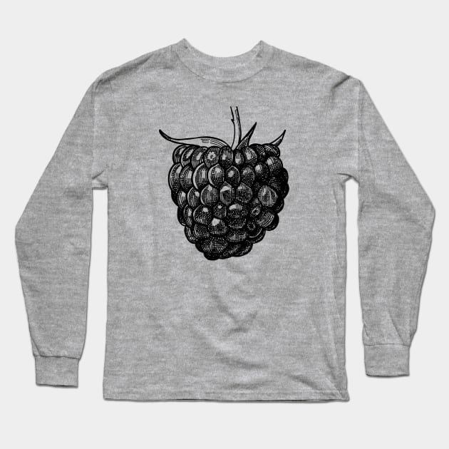 Raspberry Long Sleeve T-Shirt by senkova